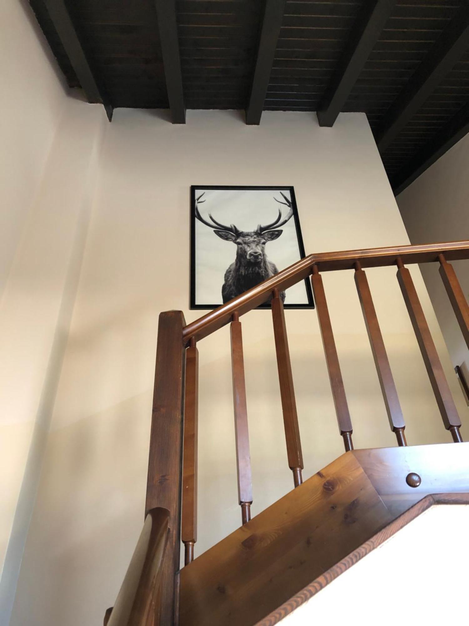 Casa Rural Mollo, Vall De Camprodon エクステリア 写真