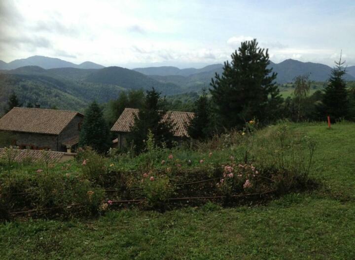 Casa Rural Mollo, Vall De Camprodon エクステリア 写真