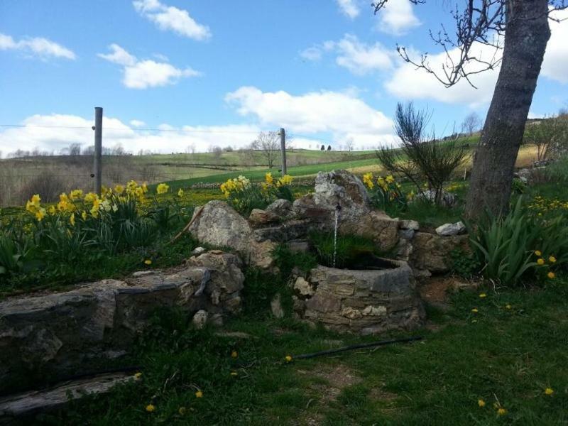 Casa Rural Mollo, Vall De Camprodon エクステリア 写真