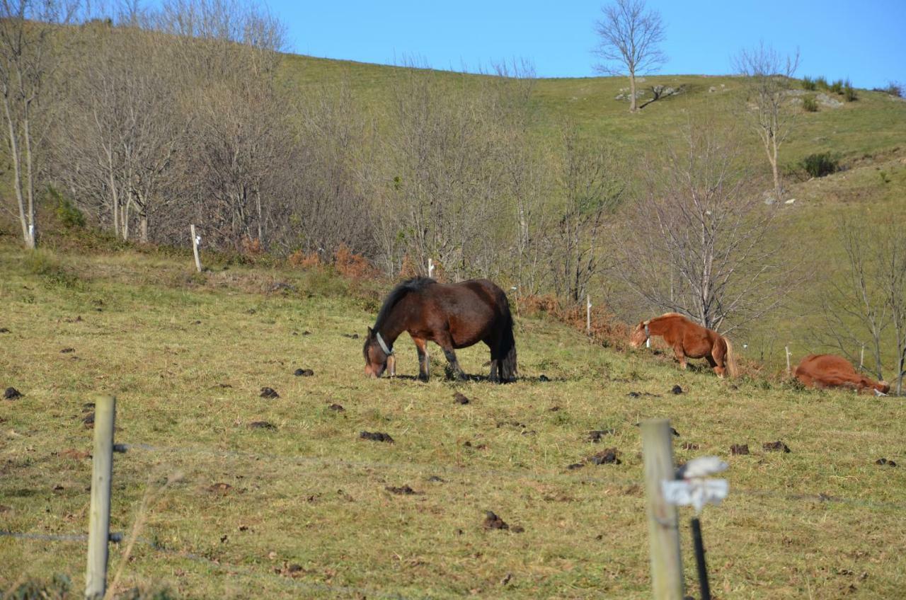 Casa Rural Mollo, Vall De Camprodon エクステリア 写真
